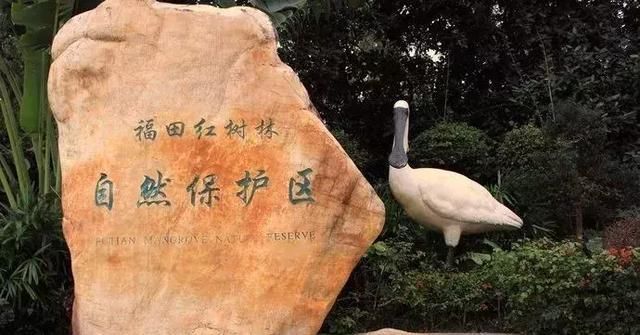 又问我深圳哪里好玩？呵呵…全部都在这里了！深圳游玩景点必收藏