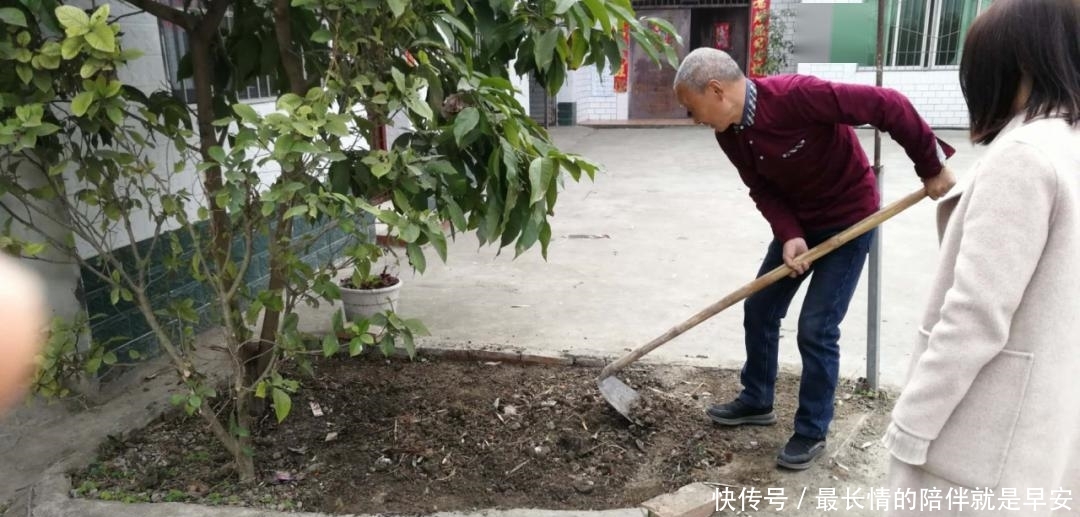 「巴掌」【巴巴掌】广汉这个村颜值不一般！村民都是庭院“设计师”～