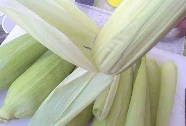  『玉米皮』“藏”在玉米地里的4种宝，不是只有玉米，全认识的才是“大神”