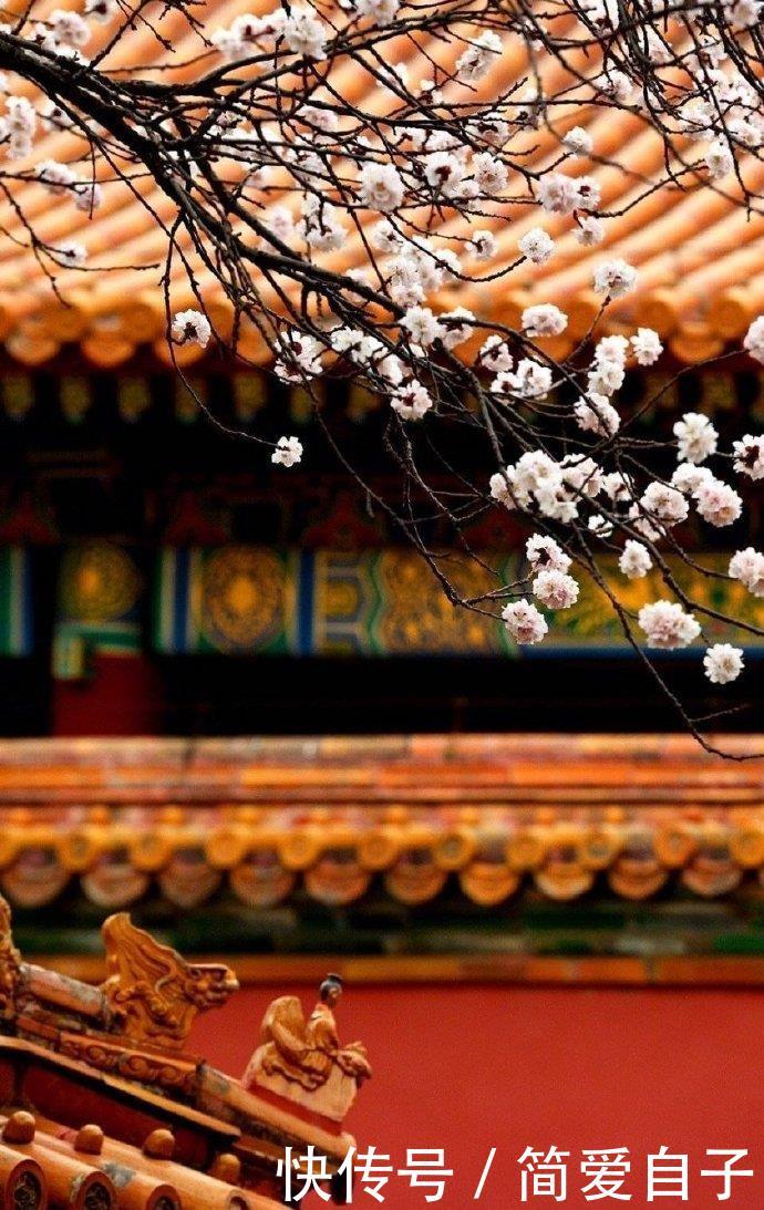 「合适」人生路需要一双鞋,苦乐之后自己体会,鞋合不合适只有脚知道!