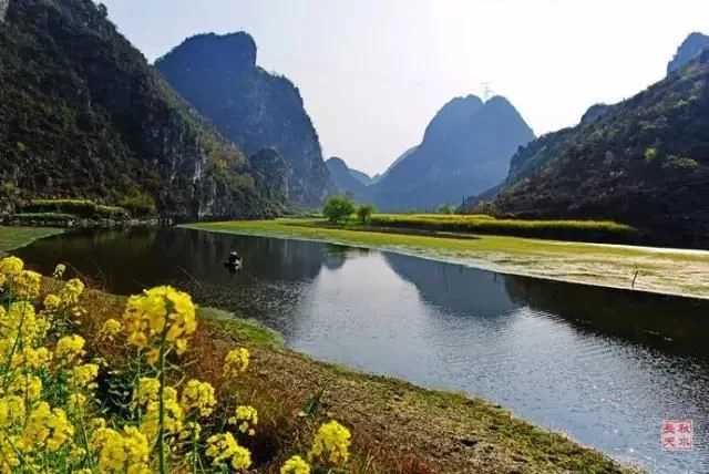 中国最美的油菜花海,油菜花逐渐“染黄”了神州大地