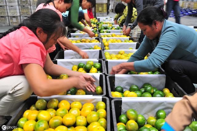 不想打工？农村3条赚钱新门路了解一下！