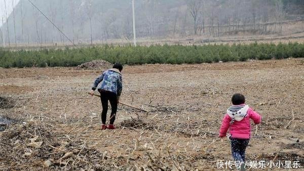 再过10年，农村将迎“5大洗牌”，涉及农村家家户户，早做准备