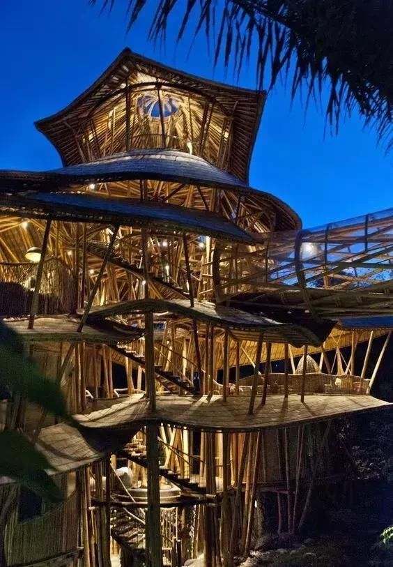 到轰动世界的照片，打开看看！