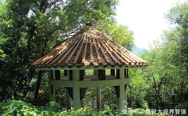  「GDP」中国最富的镇之一, GDP超三分之一地级市，10%国人用这里