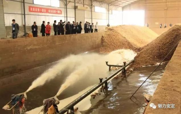 创新模式抱团发展 银企合作助农脱贫定西市创