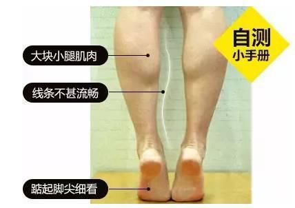  【试试】小腿难瘦？不如来试试女明星的美腿方法！