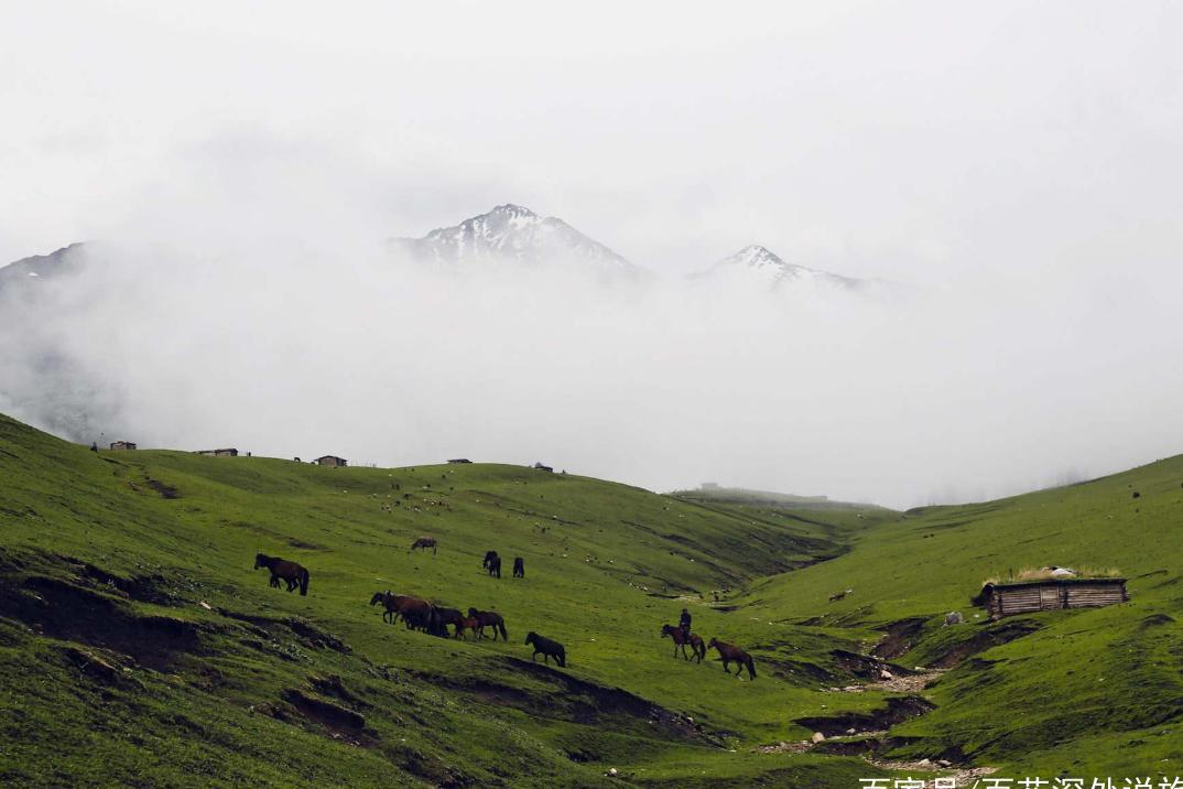 藏在中国新疆的净土，美的让人惊艳，大自然的美