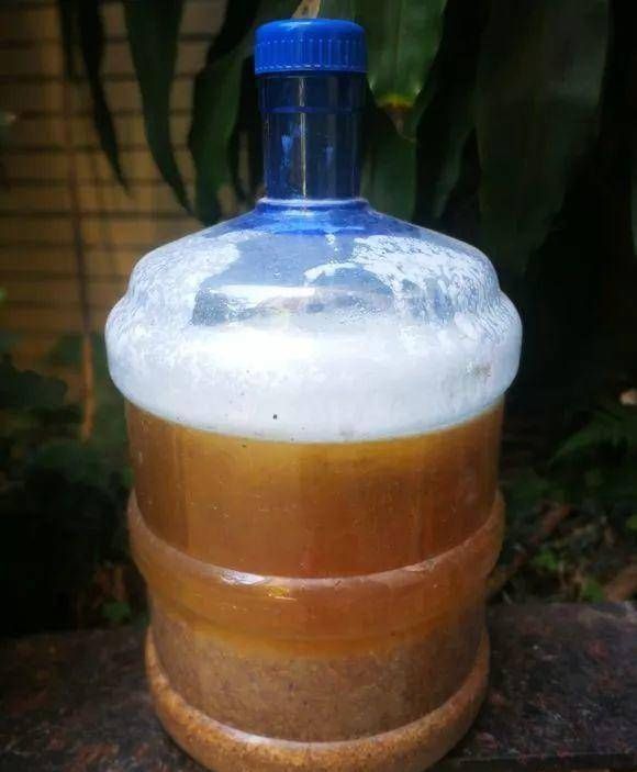  花生麸■节日期间，我们在家里做花肥，它充满了生育能力