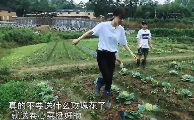 baby终于演技在线了?学热巴卖吃货人设，假吃骗观众?