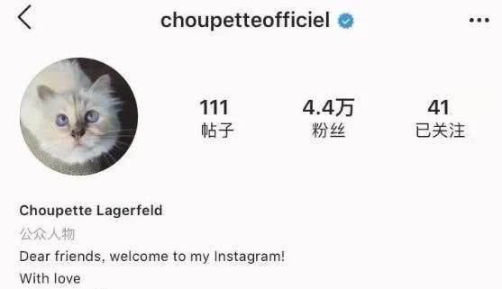  『Choupette』时尚教父“老佛爷”生前养的这只猫，有多幸运就有多难过