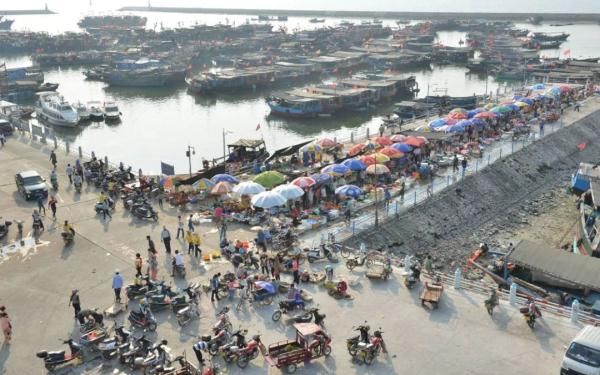 三亚渔民抓到一条鱼，有人出价92888元！它稀奇在哪？