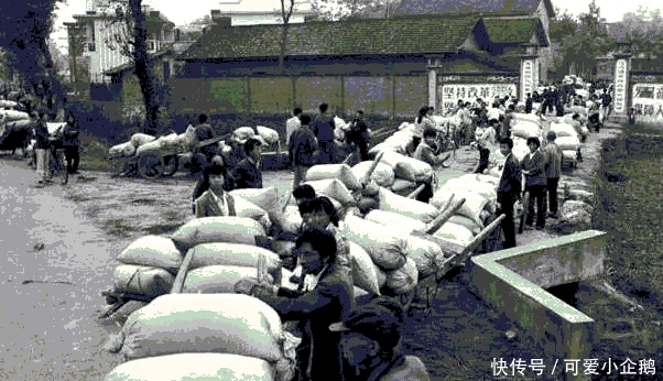 农民之前缴纳的公粮能不能折算成社保? 咋计算? 这事儿有说法了!