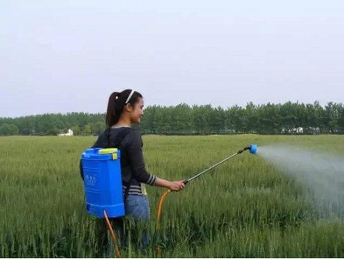 适合农村的创业点子，就看你敢不敢做