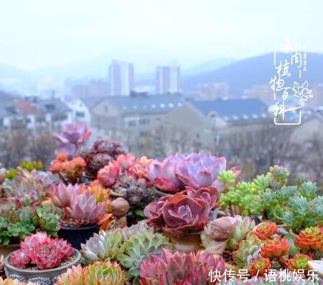  #喜欢#一粥一饭填饱肚子，一屋一花神仙日子！生命不止，玩趣不停！