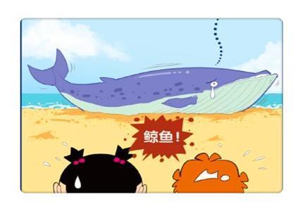 猫小乐阿衰“沙漠之鹰”风光多彩大脸妹“小衰座驾”1毛3小时