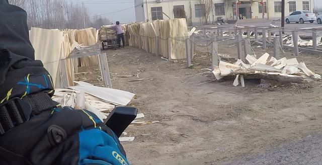 农村创业项目，杨树加工，一年买车买房娶新娘