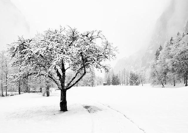  [句俗语]冬至将至，俗语“阴过冬至晴过年”啥意思？古人的经验