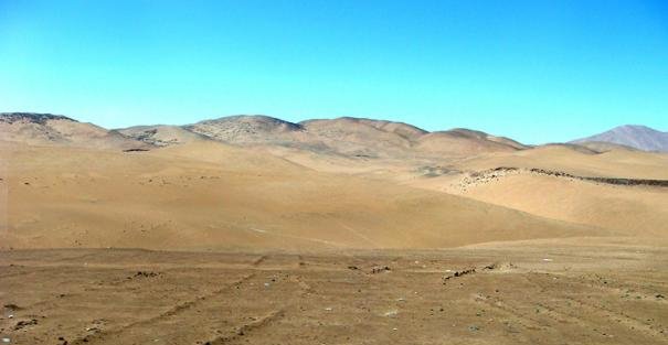 世界最干旱沙漠一场大雨让沙漠开出花海，科学家们却发愁了!