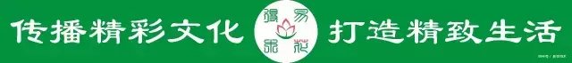『生长期』兰花生长缓慢或停滞?莫急,也许是未到生长时