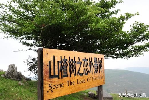 中国物价最低的城市，游客多为回头客，规模堪比一个省