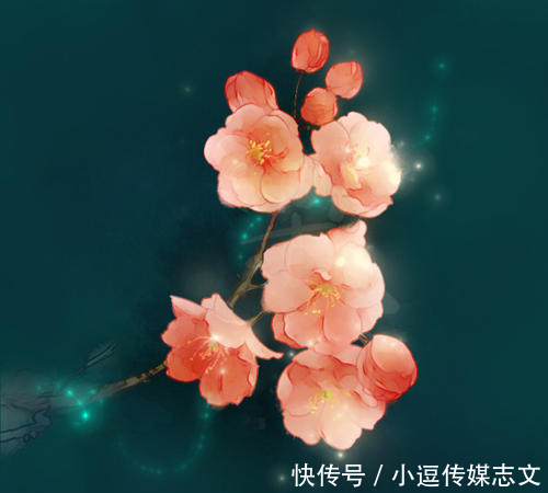 洗面奶@敲好用的护肤品分享合集,颜值高到炸裂!