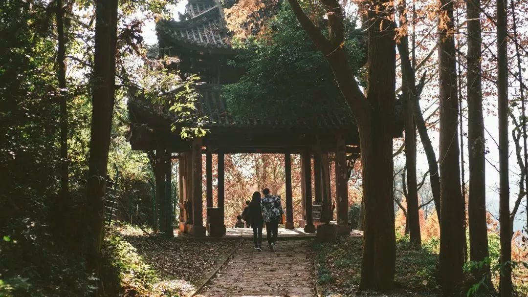 四川这座小城，叫板稻城亚丁，不输江南，藏着亚洲第一云海，高铁