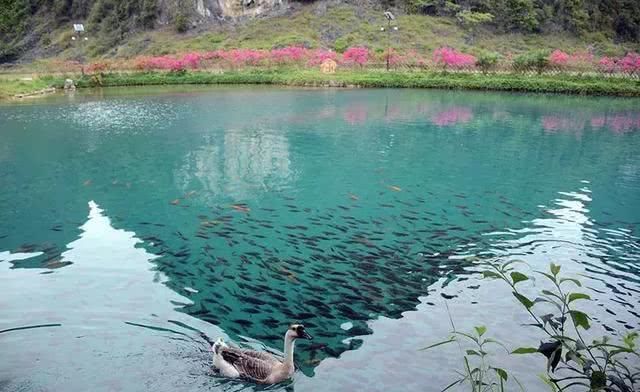 广西周末自驾游路线，一路惊喜，一路美景，体验夏天最美的样子！