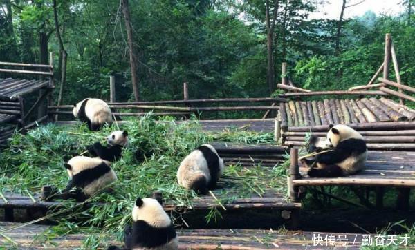  唯一：我国唯一挤进全国经济十强的西部省份, 拥有西部唯一特大城市