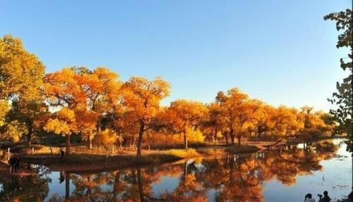 曾造就文明的发源地,因水源丰富修建水利枢纽,如今面临环境危机