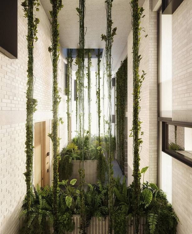 被植物包围的别墅，美得像童话！