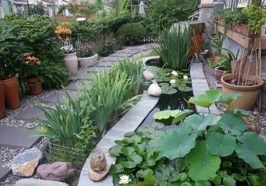  小院@理想中的乡村小院