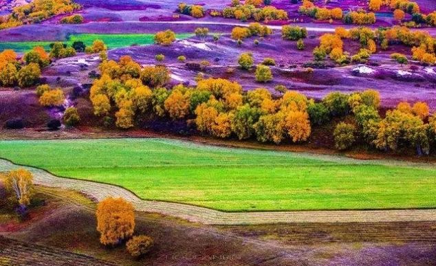 有一种美，叫秋天的乌兰布统