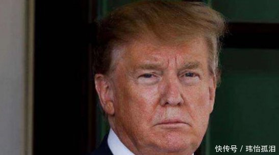 普京伊朗事件态度