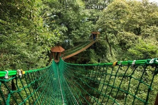 飙拢“川西咽喉”耍雪，打卡无边池的网红云海，元旦就去这！