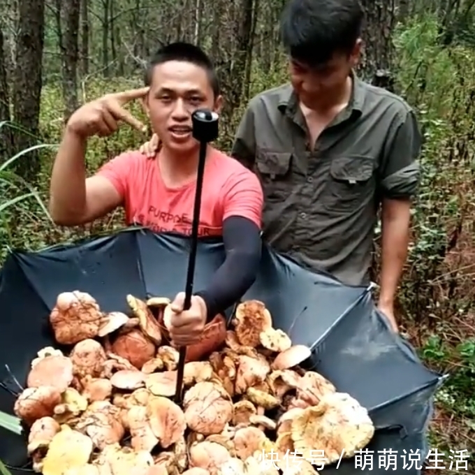 农村野生的“它”，是大自然馈赠给农民的福利，一斤价值50元！