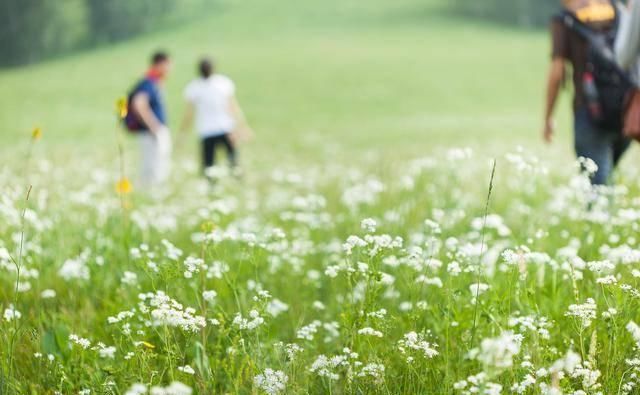  取消：事业单位编制取消后，事业单位人员现在分为哪几类？