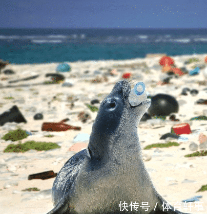 看看这7张照片，人类制造的垃圾到底是如何摧残这颗星球的？