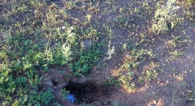 过去泛滥成灾无人吃，如今成奢侈美味，200元一斤被大量养殖