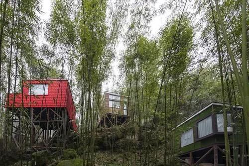 成都西，莲花湖畔，去竹林仙境度个小假，美如仙境