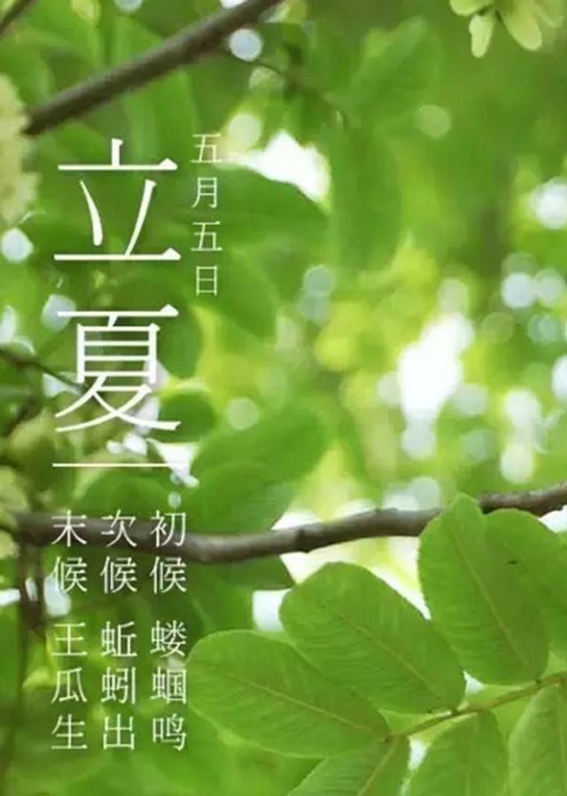  入夏■入夏即盛夏！广西气温仍将持续飙升
