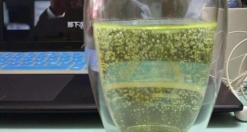  『水里』2种药品可当肥料，扔水里当营养液，富贵竹喝完能“开花”