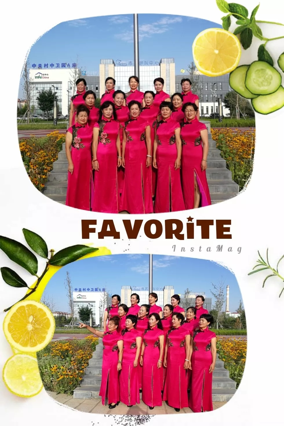 商南县旗袍佳丽赴宁夏参加西北五省旗袍联赛演出归来