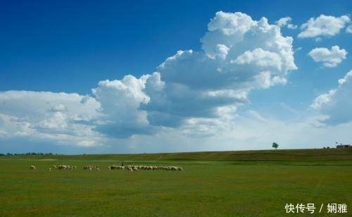  [待遇]退休金待遇可以达到9000元吗？企业单位退休可以吗？