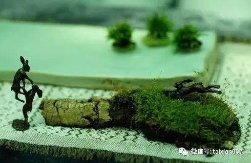 微盆景:把玩古朴的雅趣