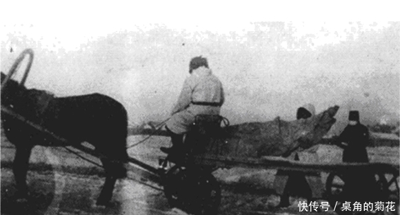 中国制度是什么制度