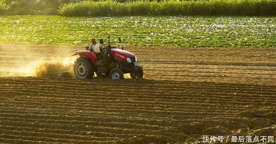 五年后，农村最值钱的不是楼房和汽车，而是这三样东西？