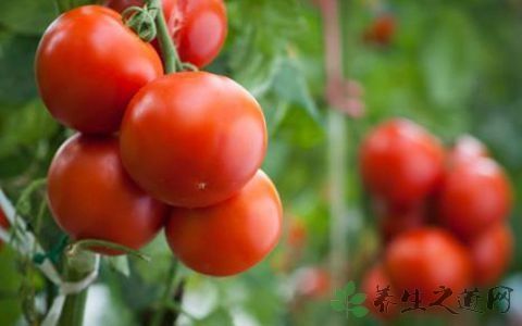 夏季腿部怎样防晒