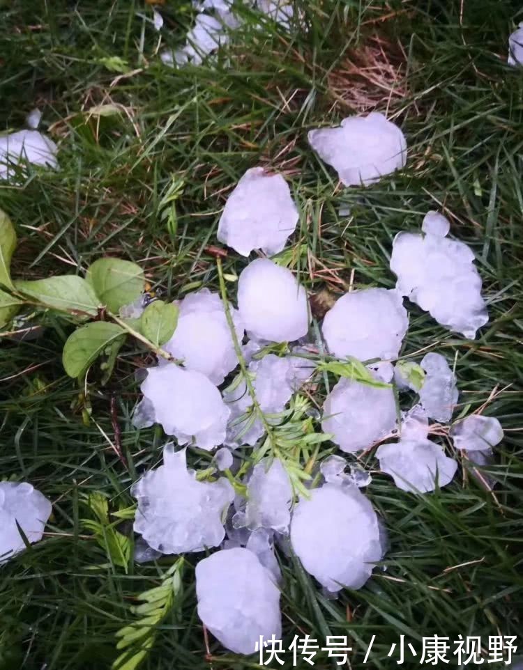  「遭遇」罕见！北方多省遭遇大霜冻，云南下冰雹！这些补救措施请查收！