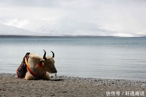 去西藏旅行，这几处地方一定不要随意拍照，否则得不偿失